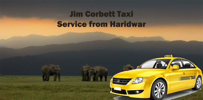 Haridwar to Corbett Taxi Service